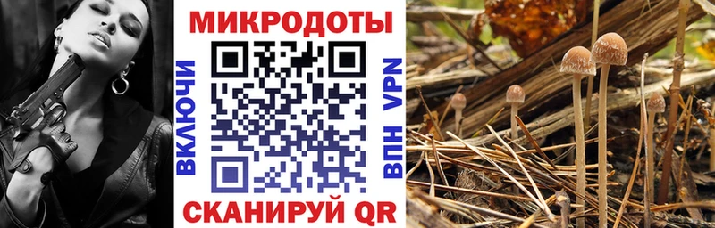 Псилоцибиновые грибы мухоморы  Цоци-Юрт 