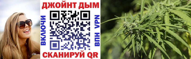 где найти   Цоци-Юрт  Конопля гибрид 